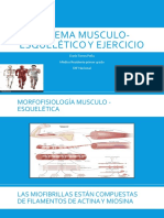 Sistema Musculo-Esquelético y Ejercicio