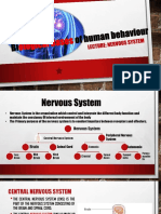 Human Brain.pptx