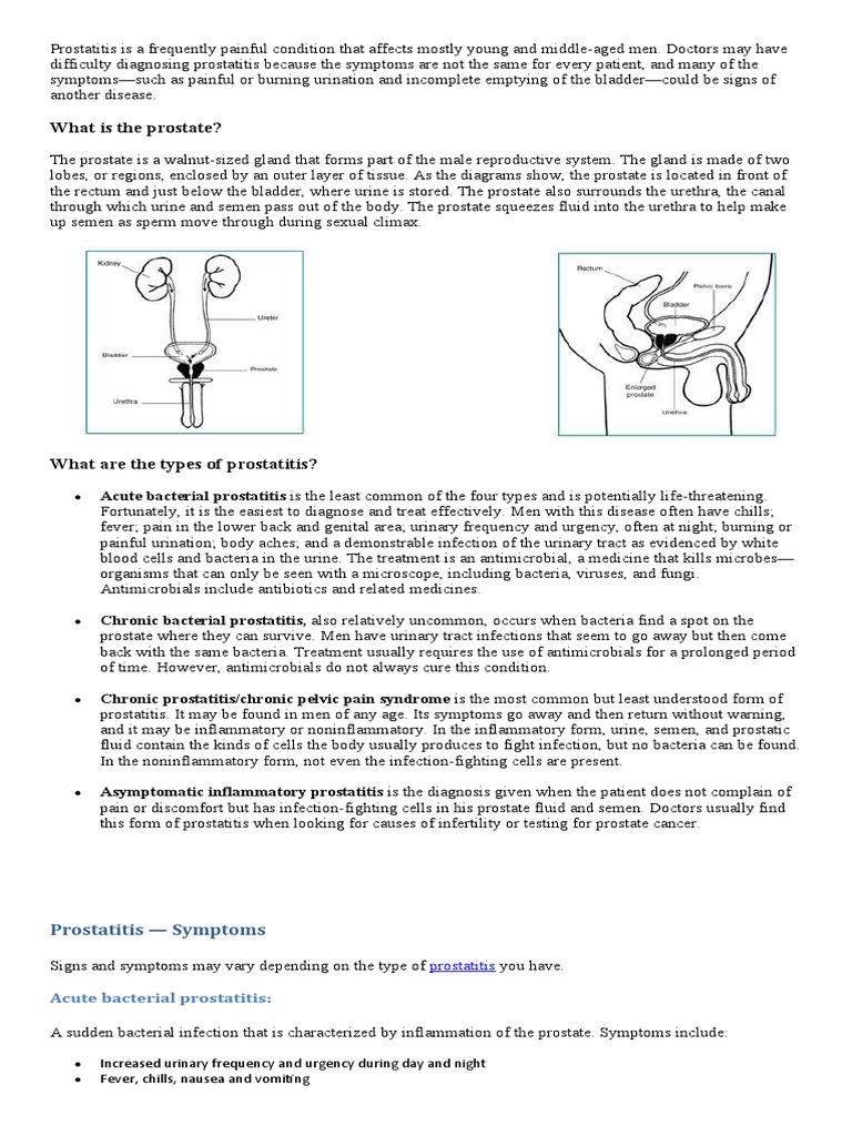 Pro Stat It Is | PDF | Prostate | Urinary Tract Infection