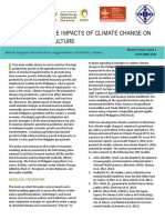 Economywide Impact of Climate Change On Agriculture