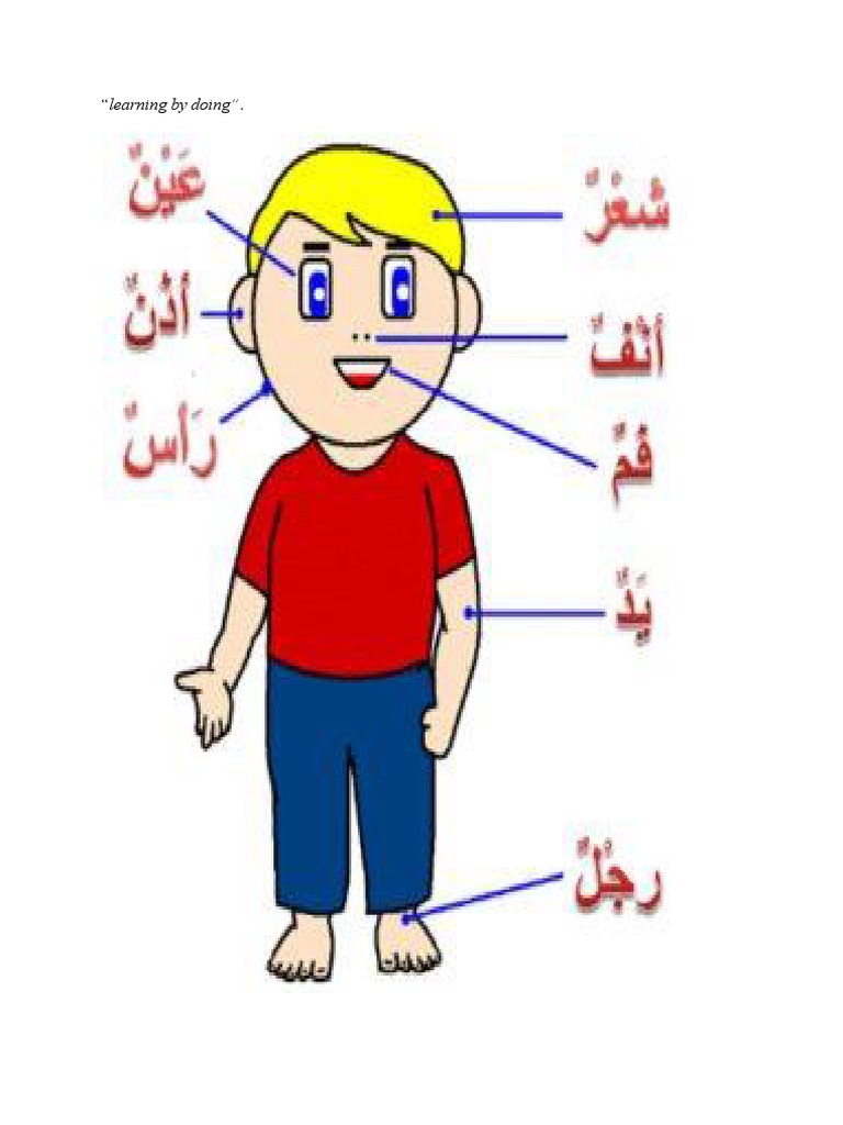 Anggota Tubuh B Arab Pdf