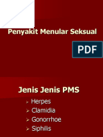 JENIS JENIS PMS   9.ppt