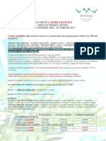 Oferta Mirage Spa PDF