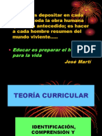 Puce- Teoria Curricular 1