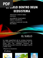 El Suelo Dentro Deun Ecosistemat... Jjj