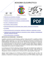 04-El cromosoma eucariótico.pdf