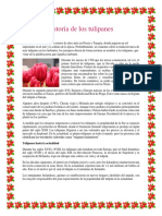 Historia tulipanes