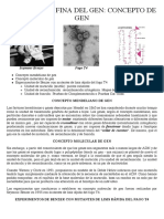 20-Estructura Fina Del Gen-concepto de Gen