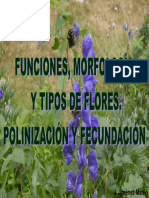 PresentaciónFlores1.pdf