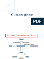 Gliconeogenese e via Das Pentoses Fosfatos