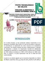 Diagrama de Bloques de Un Proceso Industrial Esquivel Reyes Geovanni Alexis Biotecnologia Alimentaria II