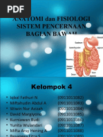 Download ANATOMI Dan FISIOLOGI Sistem Pencernaan by resangga SN36540148 doc pdf