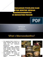 KEANEKARAGAMAN FISIOLOGI DAN STRUKTUR BENTUK HEWAN MAKROZOOBENTOS DI.pptx