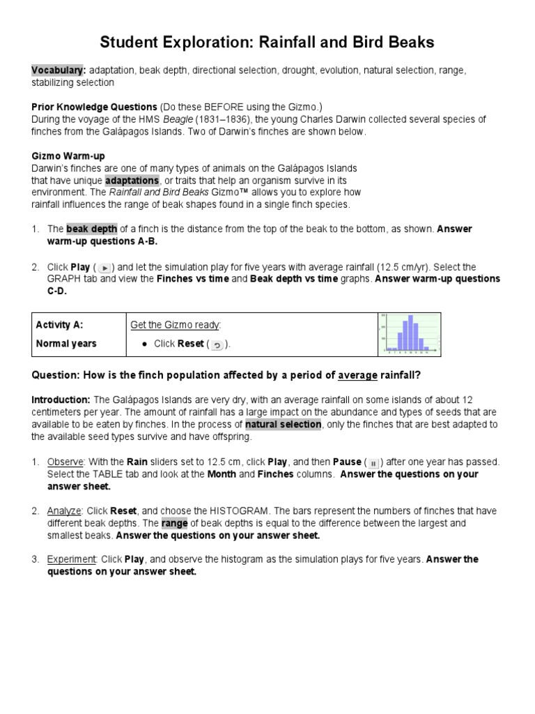 Rainfall And Bird Beaks Gizmo Answer Key