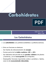 6 Carbohidratos