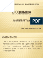 BIOENERGETICA