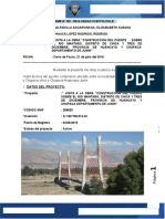 Informe Visita Puente Comuneros