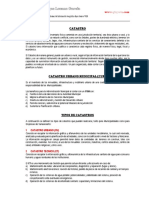 GIS-Catastro-Municipal.pdf