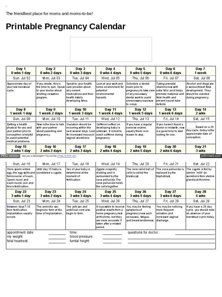 Printable Pregnancy Calendar - HTM | PDF | Fetus | Pregnancy