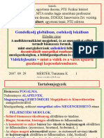 2007-1-MERTEK-Pecs-070929.ppt