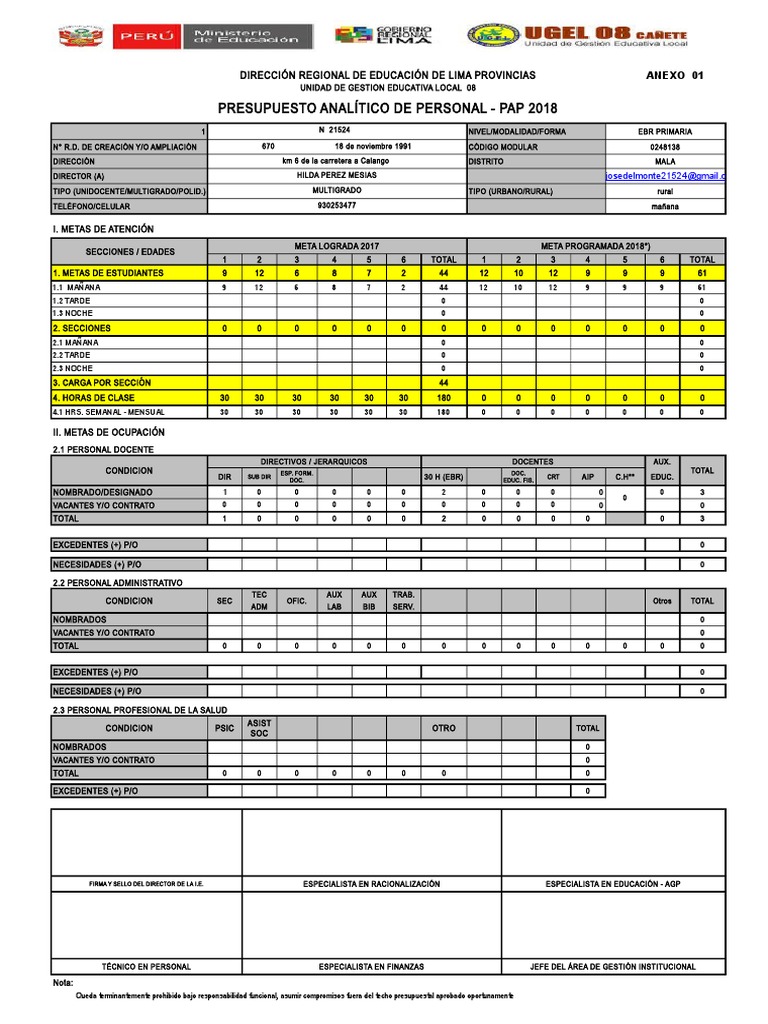 Formato Pap 2018 - Nivel Primaria | PDF