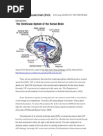 Download External Ventricular Drain by Sze Ching Wan SN36545386 doc pdf