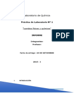 INFORME-DE-LOS-CAMBIOS-FISICOS-Y-QUIMICOS.docx