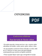 Cisticercosis Ok