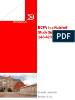 BCFA_Nutshell16GbpsEdition.pdf