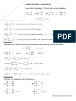 Ejercicios Determinantes