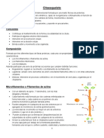 Citoesqueleto-P.pdf