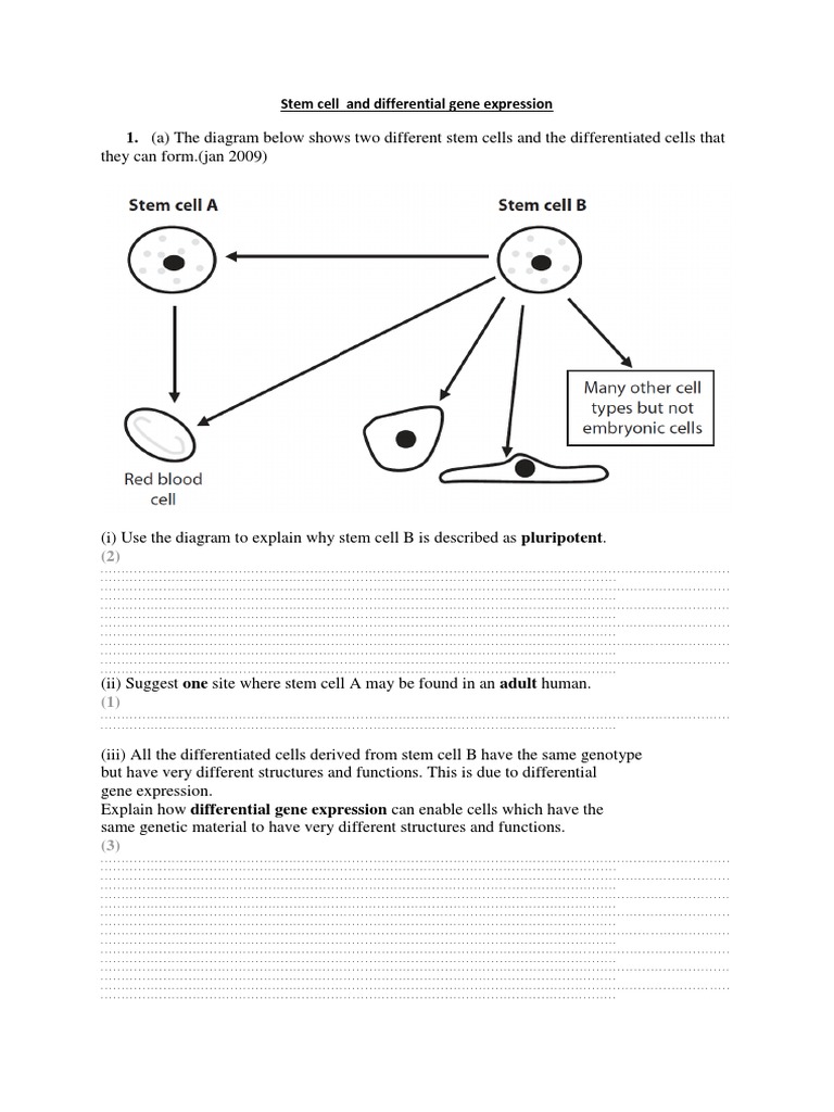 Pluripotent Stem Cells and Gene Expression | PDF | Cell Potency | Stem Cell