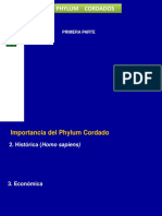 Importancia del Phylum Cordado