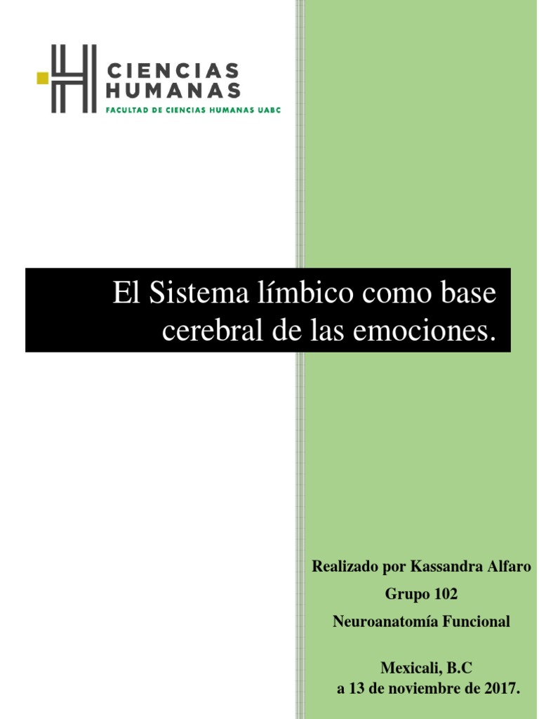 Sistema Limbico Y Las Emociones Pdf – CRVWP