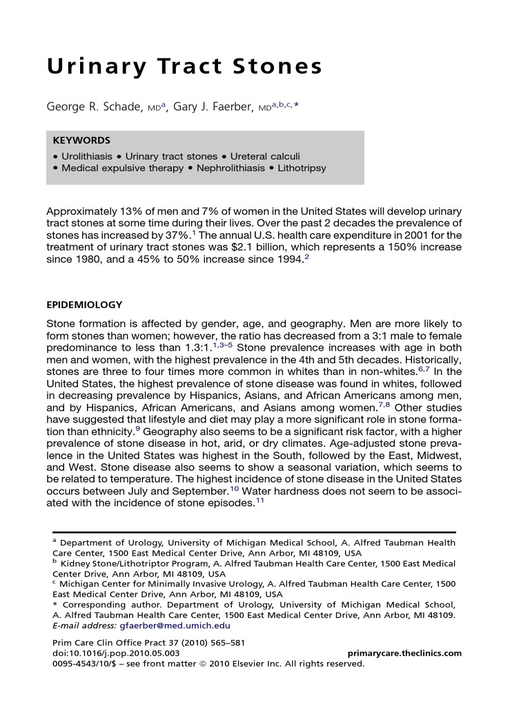 Urinary Tract Stone PDF Vitamin D Urine