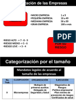 Categorización de Las Empresas PDF