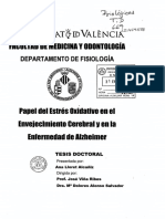 Papel Del Estrés Oxidativo en El Envejecimiento Cerebral y en La Enfermedad de Alzheimer