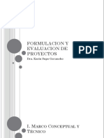 Formulacion y Evaluacion de Proyectos 1 (1)