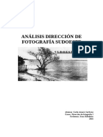 Sudoeste-analisis.pdf