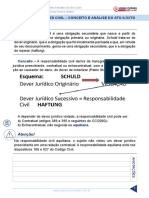 resumo_1947690-raquel-bueno_30837150-direito-civil-juris-2015-aula-112-responsabilidades-civil-conceito-e-analise-do-ato-ilicito.pdf