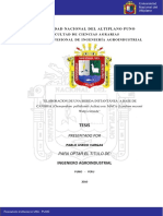 Usedo_Vargas_Pablo.pdf