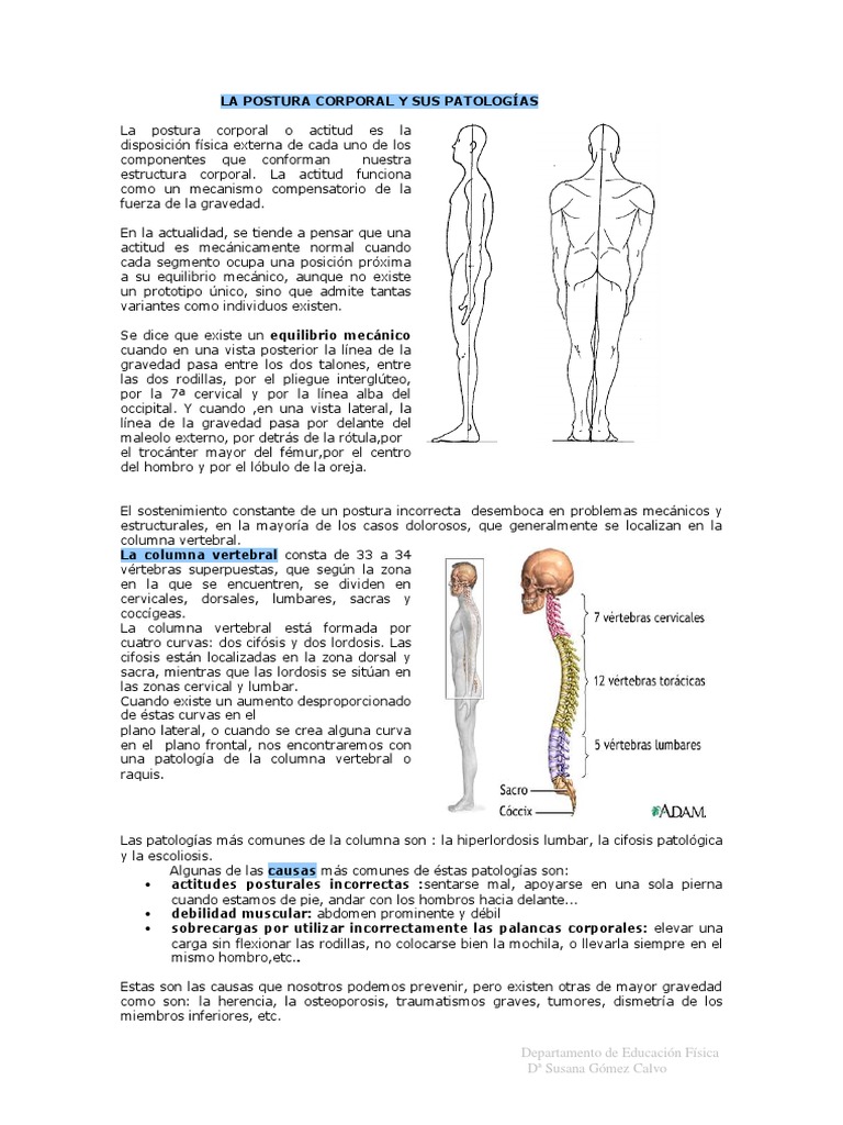 Postura Corporal y Patologías Comunes | PDF | La columna vertebral ...