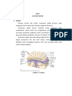 LP Craniotomy Rahma