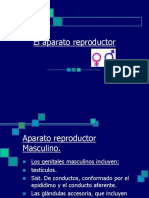 aparato reproductor.ppt