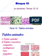 TEMA 13 Tejidos Animales