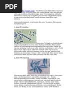 Jamur Penyebab Penyakit Kurap