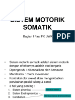 Sistem Motorik Somatik