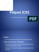 Palpasi (CiE)