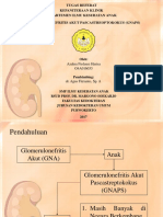 Glomerulonefritis Akut Pascastreptokokus (GNAPS)