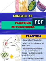 Plastida Mitokondria 11 PDF